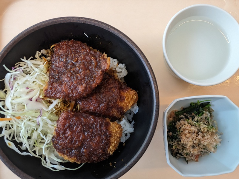 Lunch at Nagoya University (Miso-katsu)