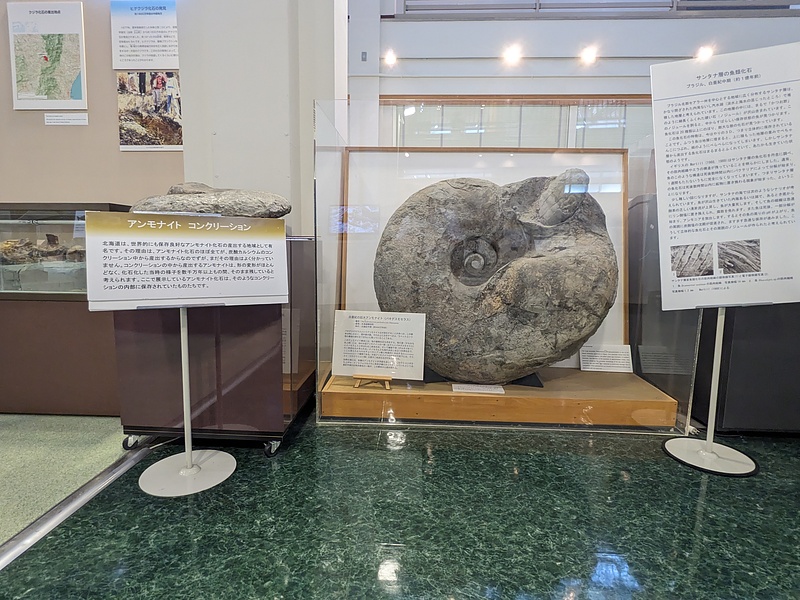 Nagoya University Museum