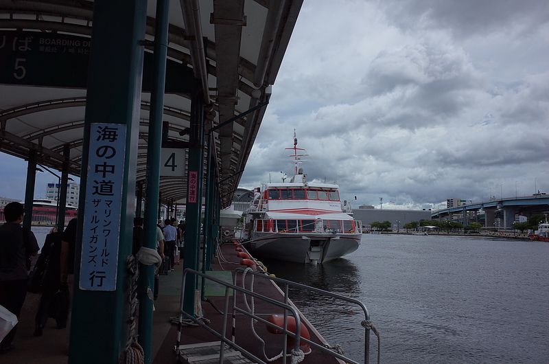 Jet foil Venus, Hakata-Izuhara