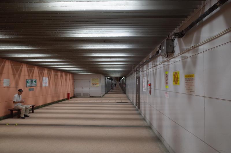 Shinano River Walkway